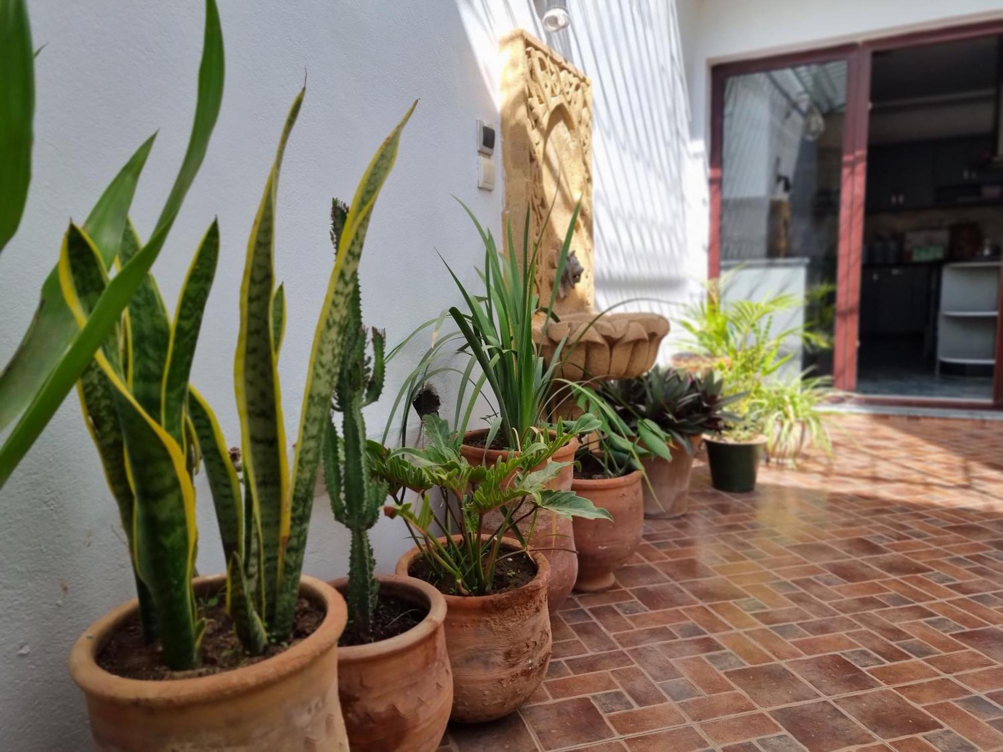 Riad Searenity Tamraght Exterior foto